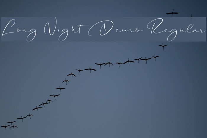 Long Night Demo Regular Font examples