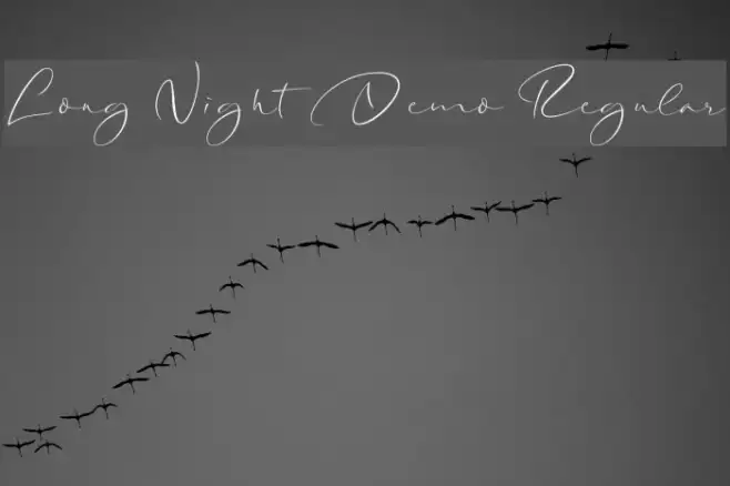 Long Night Demo Regular Example 3