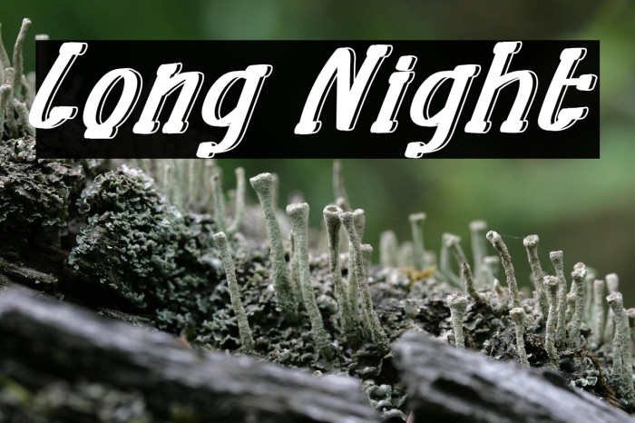 Long Night Example 3