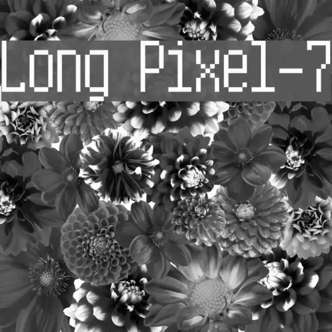 Long Pixel-7 Example 2