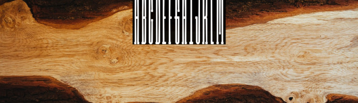 Long Rider Alternative Example 1