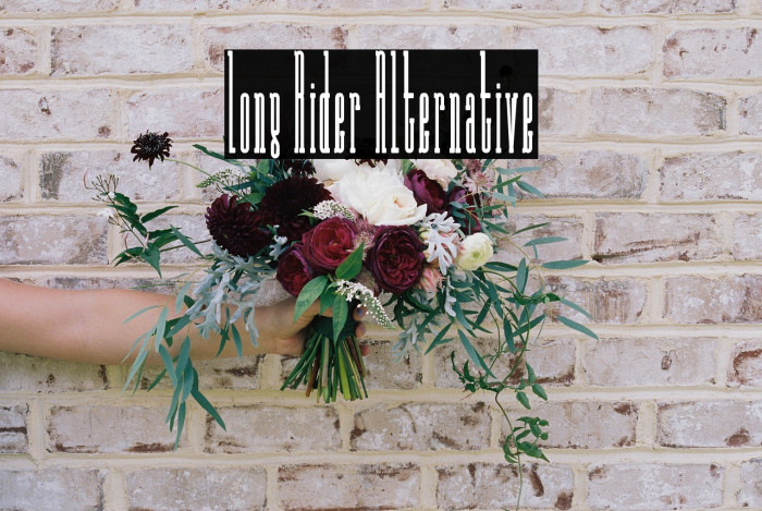 Long Rider Alternative Example 1