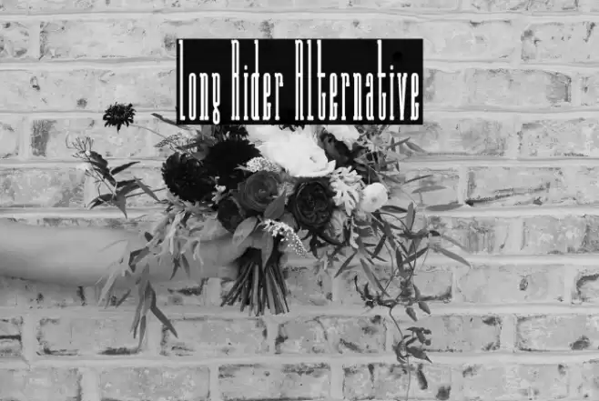 Long Rider Alternative Font examples