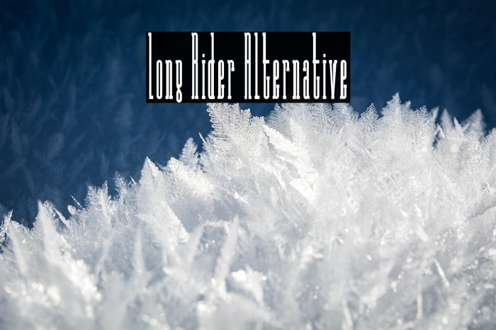 Long Rider Alternative Example 2