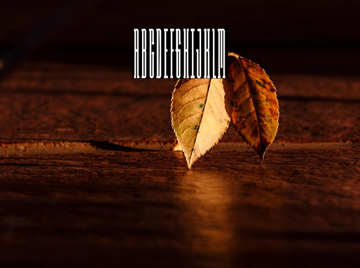 Long Rider Example 2