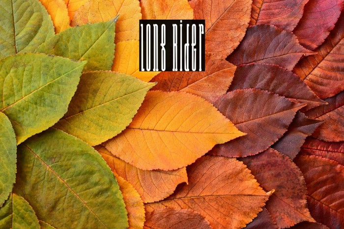 Long Rider Example 3