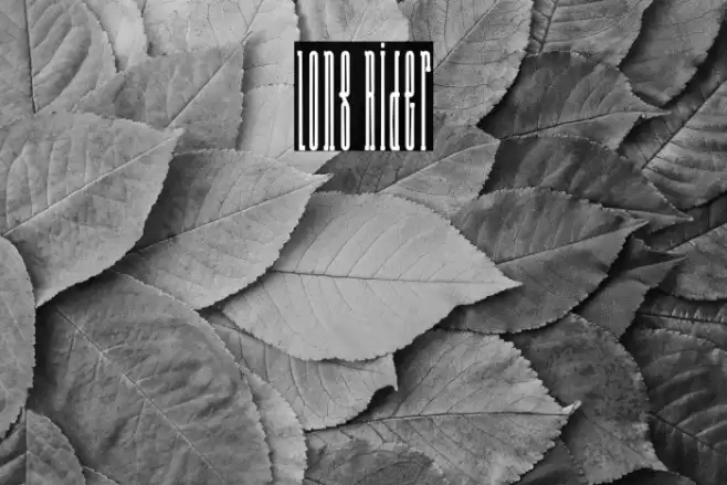 Long Rider Font examples