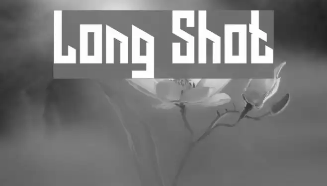 Long Shot Font examples