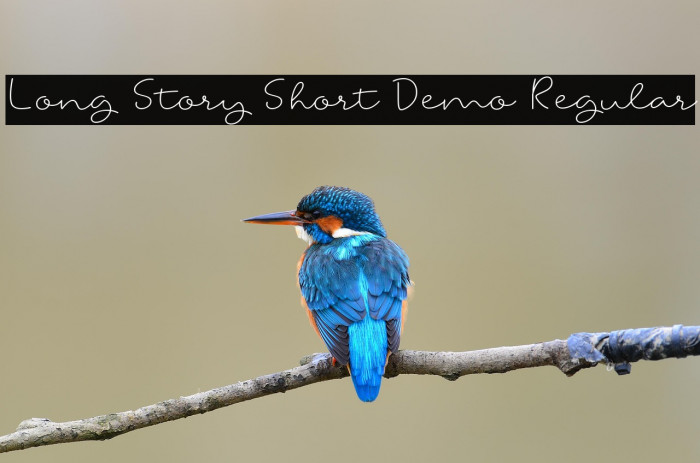 Long Story Short Demo Regular Example 1