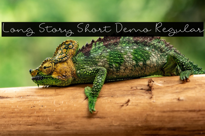 Long Story Short Demo Regular Example 3