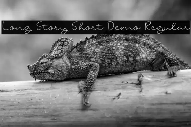 Long Story Short Demo Regular Font examples