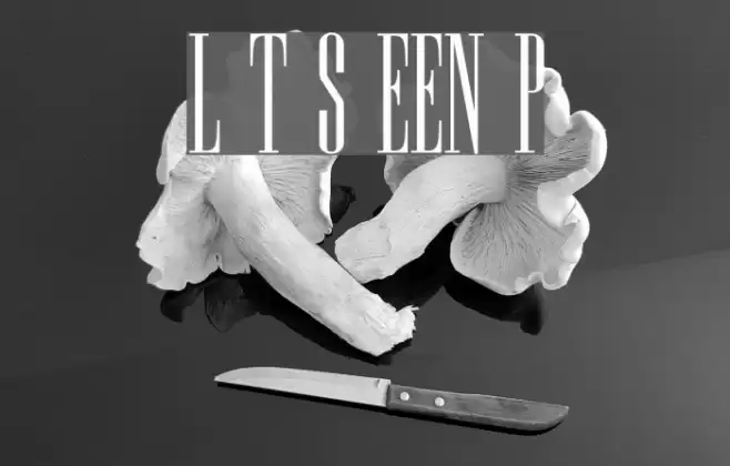 Long Tall Sally EEN Plain Font examples