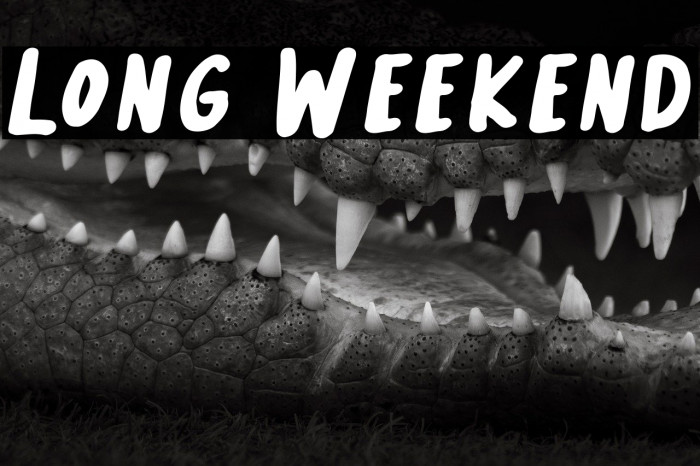 Long Weekend Example 3