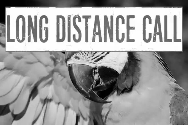 Long distance call Font examples