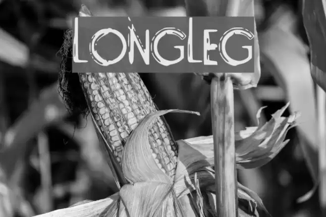 LongLeg Font examples