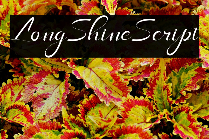 LongShineScript Example 1