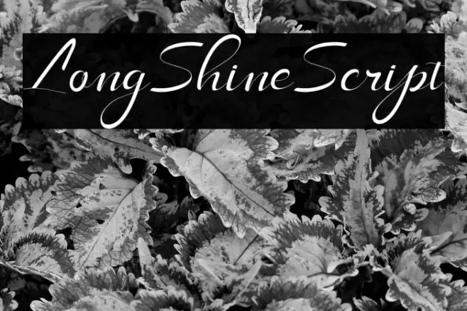 LongShineScript Example 1