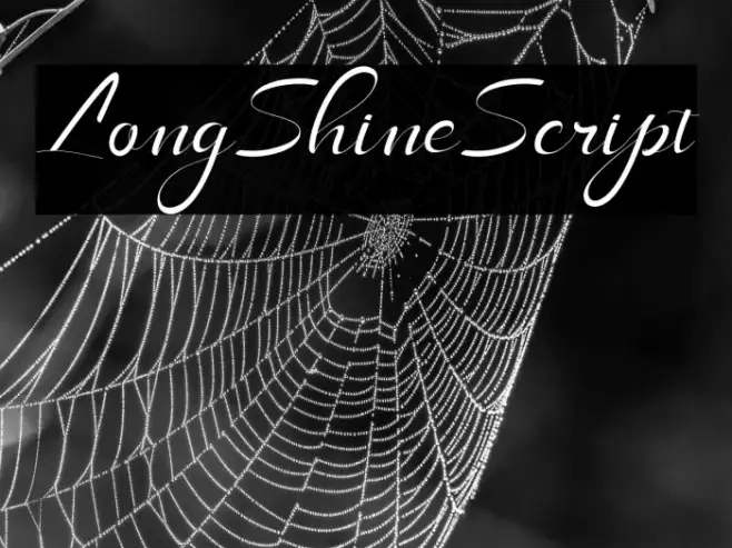 LongShineScript Example 3