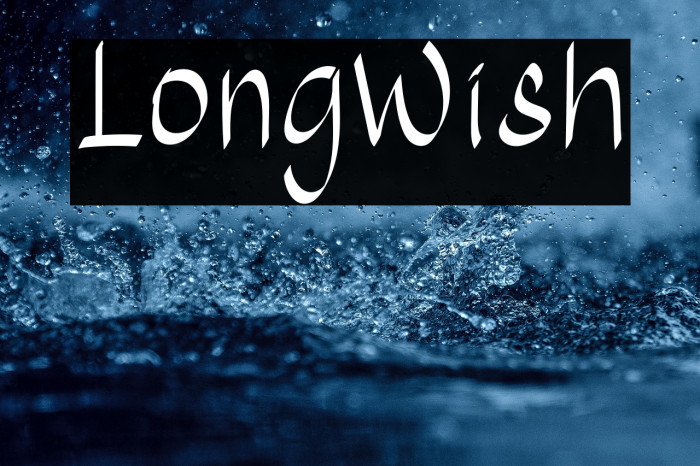 LongWish Example 1