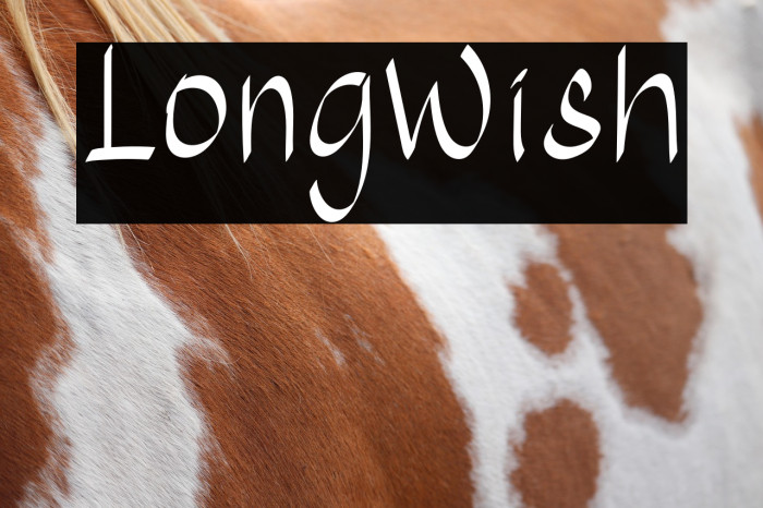 LongWish Example 3