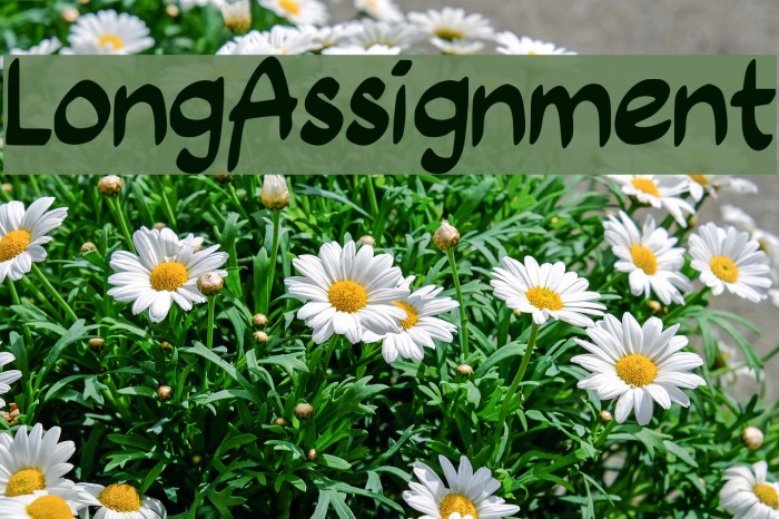 Long_Assignment Font examples