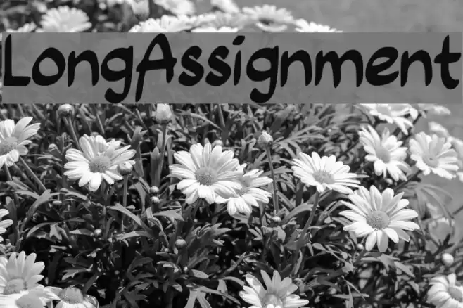 Long_Assignment Font examples