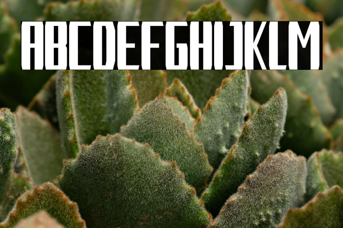 Long_Road demo Example 3