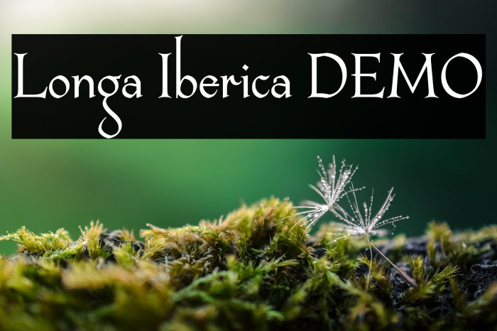 Longa Iberica DEMO Example 2