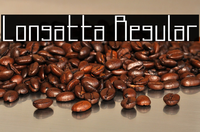 Longatta Regular Example 1