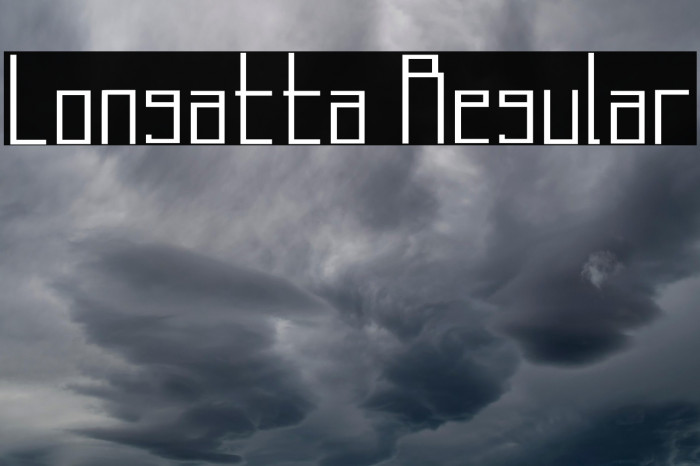 Longatta Regular Example 2