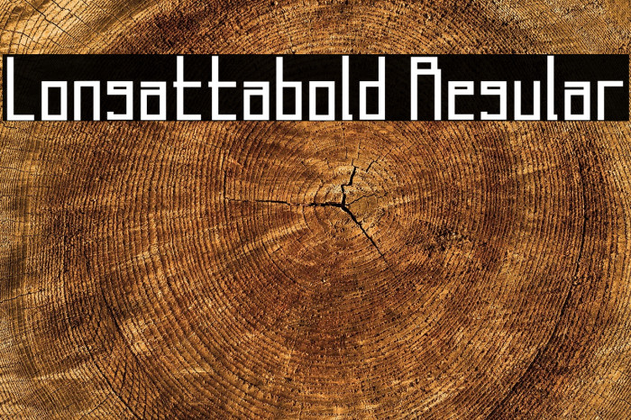 Longatta_bold Regular Example 1