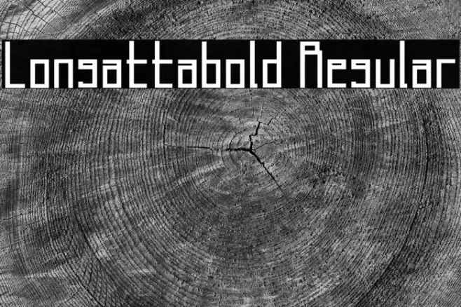 Longatta_bold Regular Font examples