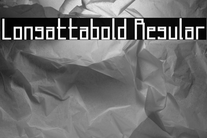Longatta_bold Regular Example 3