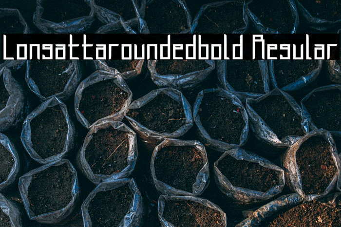 Longatta_rounded_bold Regular Example 1
