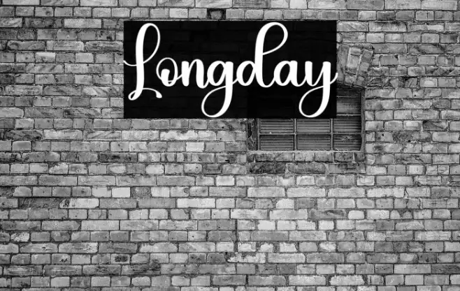 Longday Example 3