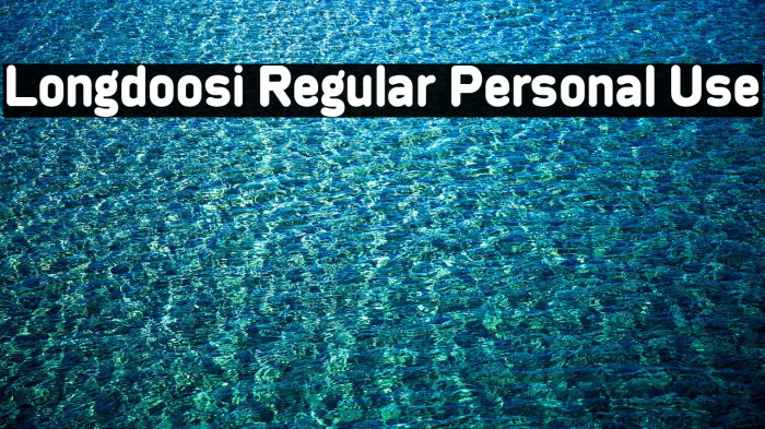 Longdoosi Regular Personal Use Font examples