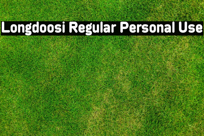 Longdoosi Regular Personal Use Font examples
