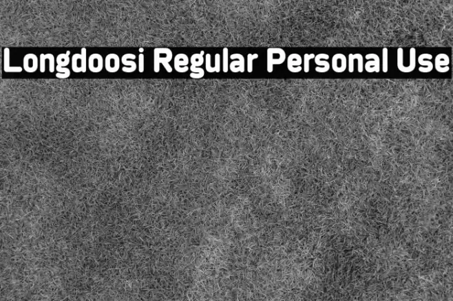 Longdoosi Regular Personal Use Polices examples