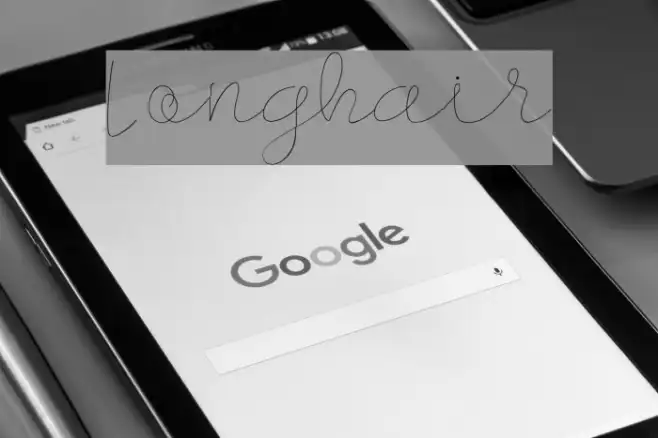 Longhair Example 1