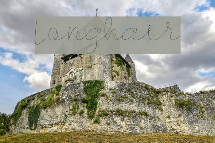 Longhair Font examples