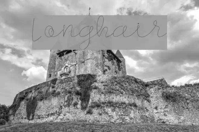 Longhair Example 2