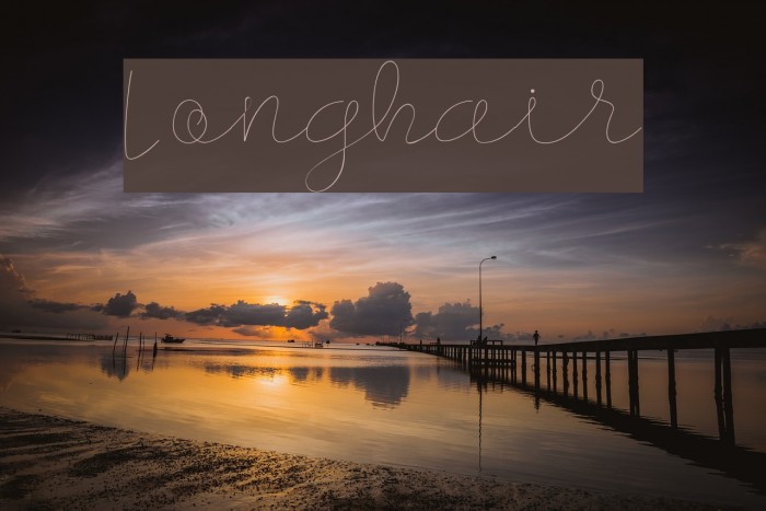 Longhair Font examples