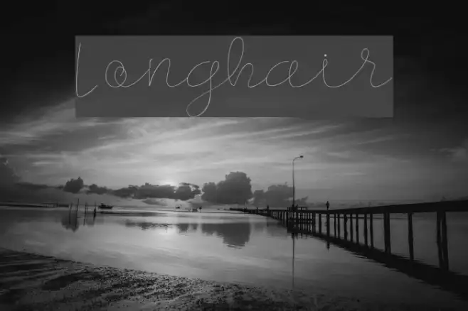Longhair Example 3