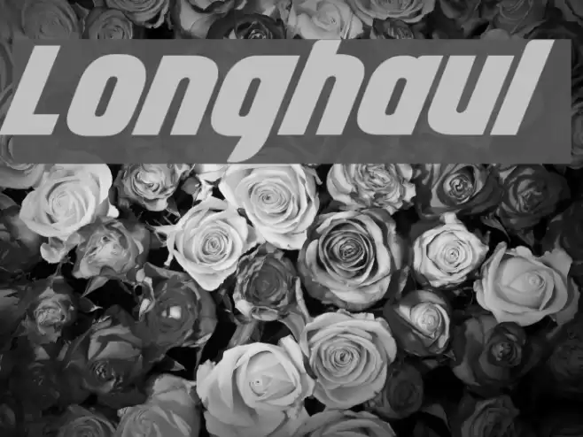Longhaul Font examples