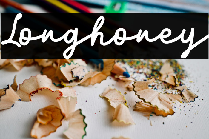 Longhoney Example 1