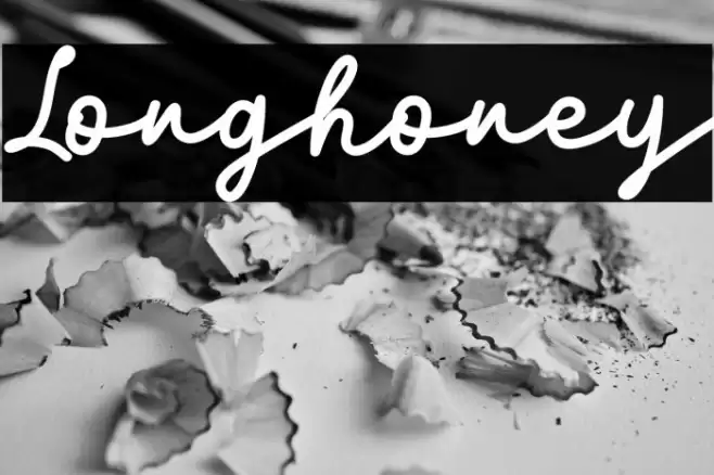 Longhoney Font examples