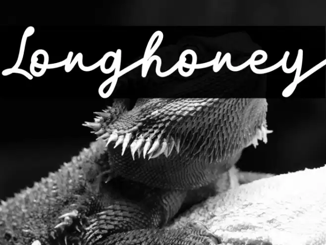 Longhoney Font examples