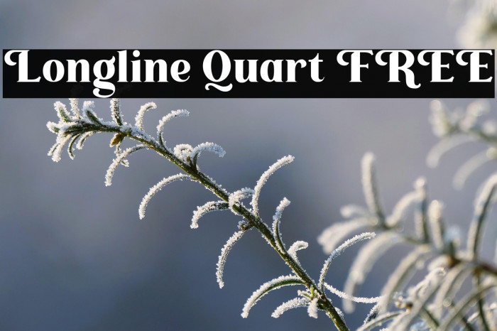 Longline Quart FREE Example 2