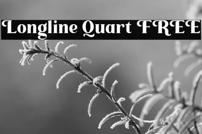 Longline Quart FREE Font examples