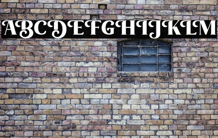 LonglineQuartFREE Example 2